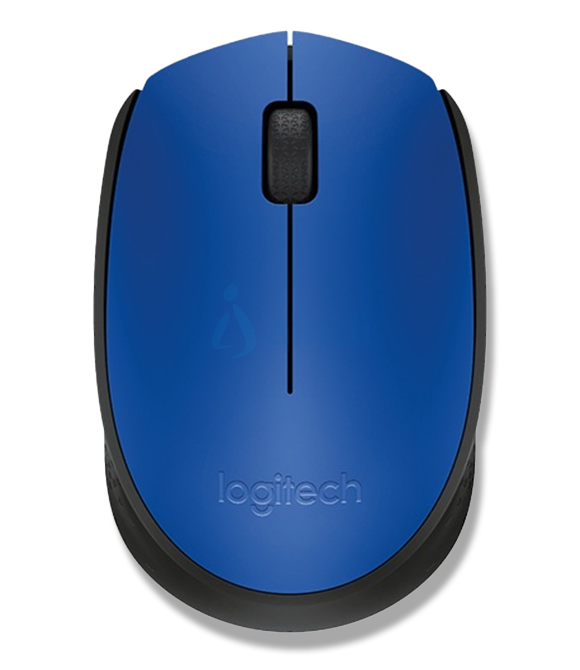 Mouse Ergonómico Logitech Óptico M170, Inalámbrico, USB, 1000DPI, Negro/Azu