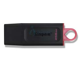 Kingston DataTraveler Exodia 256GB USB 3.2 Gen 1 DTX/256GB