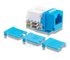 INTELLINET Keystone Jack CAT5E 210546 Azul RJ45 de Impacto