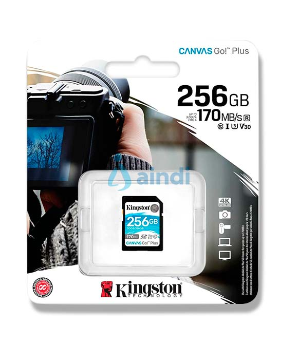 MEMORIA FLASH SD KINGSTON SDXC CANVAS SELECT 256GB 100R CL10 UHS-I V30 (SDG3/256GB)