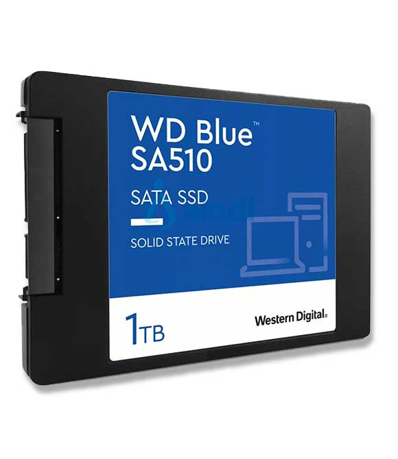 Disco Estado Solido WESTERN DIGITAL WDS100T3B0A