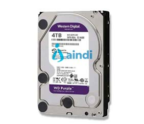 Disco Duro WESTERN DIGITAL WD43PURZ
