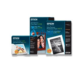 Papel Epson Standard Proofing (240) 17"x100