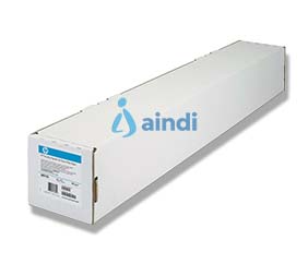 Hewlett-Packard Q8916A Papel Fotográfico Everyday Gloss 24" x 100 ft