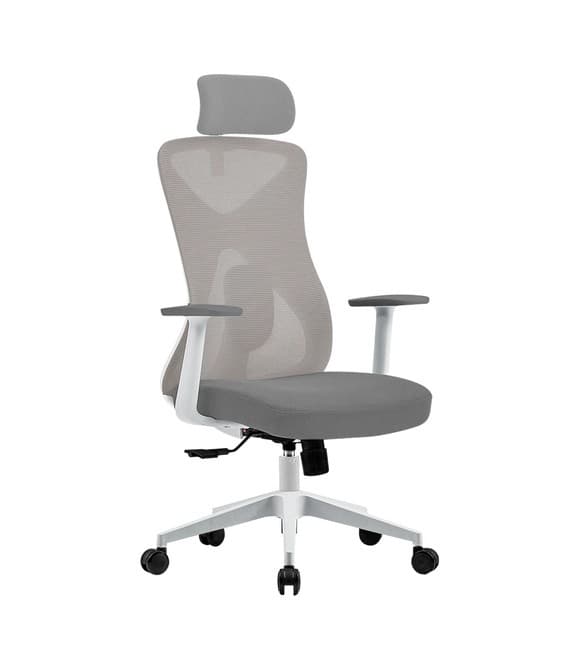 Silla Ergonómica Acteck Floe Pro EC373 AC-937245, Plástico con Malla, Mariposa Clase 4, 120 kg, Pistón Clase 3, Reposabrazos Fijo, Blanco